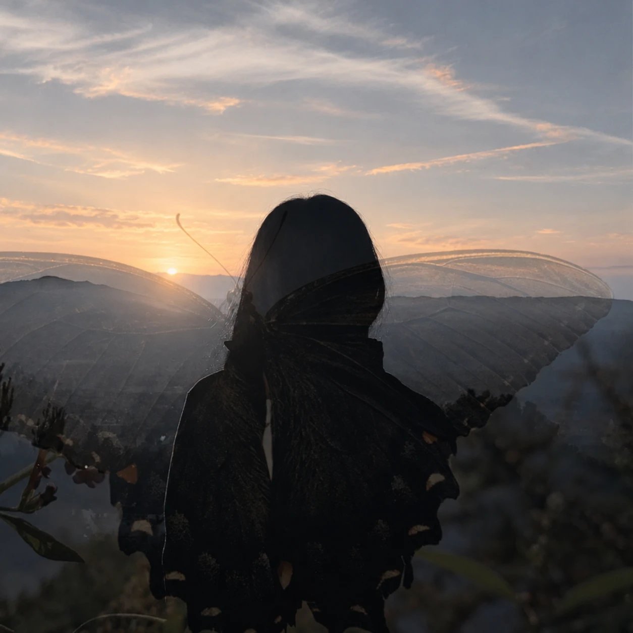 Silueta con alas de mariposa frente al amanecer